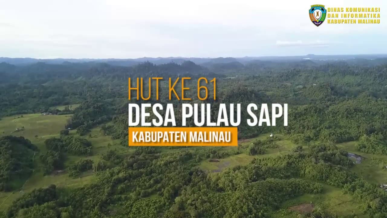 PERAYAAN HUT DESA WISATA PULAU SAPI KE 61